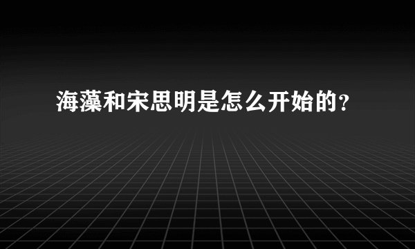 海藻和宋思明是怎么开始的？