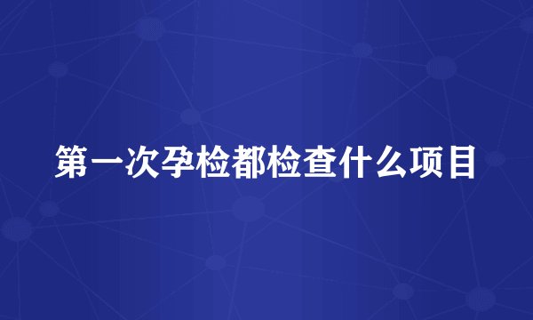 第一次孕检都检查什么项目