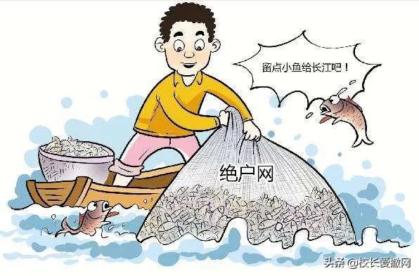 绝户网