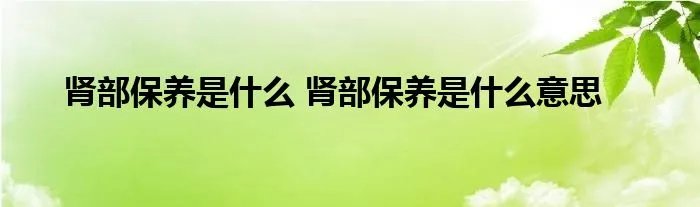肾部保养是什么 肾部保养是什么意思