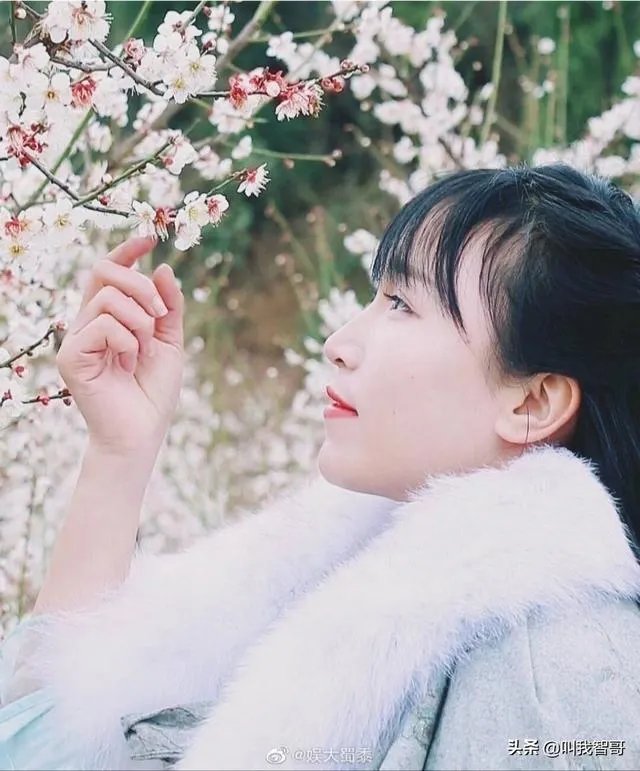 李子柒是不是文化输出引热议，你怎么看？