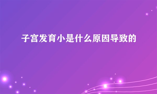 子宫发育小是什么原因导致的