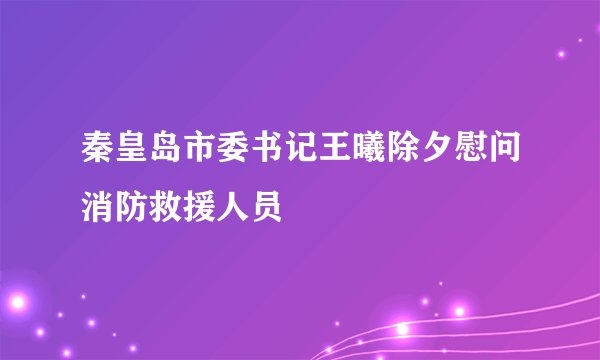 秦皇岛市委书记王曦除夕慰问消防救援人员