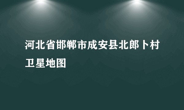 河北省邯郸市成安县北郎卜村卫星地图