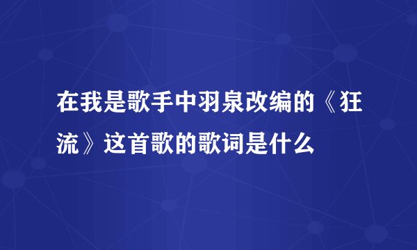 在我是歌手中羽泉改编的《狂流》这首歌的歌词是什么