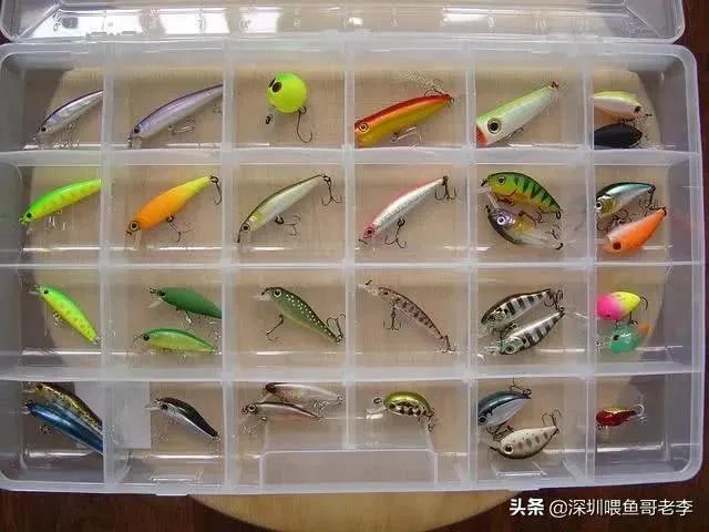谁可以分享一下路亚钓鱼技巧?