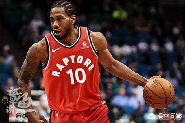 目前猛龙、雄鹿、鹈鹕,你更看好哪只队伍?为什么?
