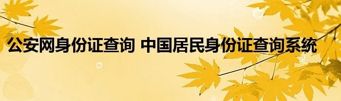 公安网身份证查询 中国居民身份证查询系统