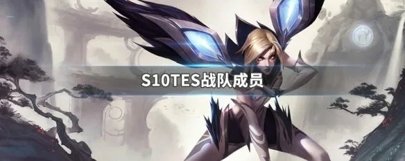 S10TES战队成员