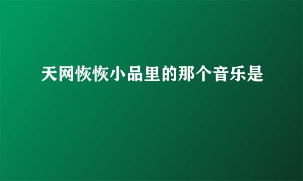 天网恢恢小品里的那个音乐是
