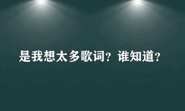 是我想太多歌词？谁知道？