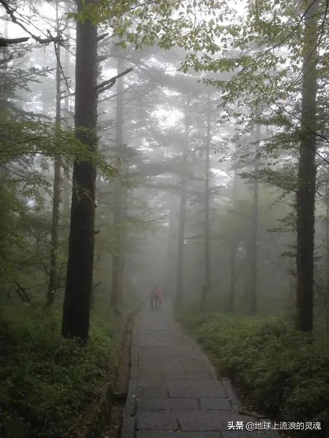 你去过的第一个A级景区是哪里?给你留下了什么深刻印象?