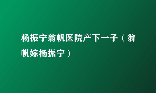 杨振宁翁帆医院产下一子（翁帆嫁杨振宁）