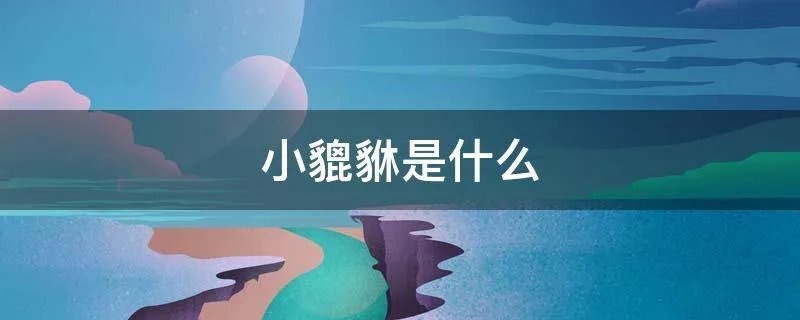 小貔貅是什么