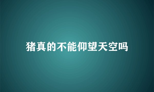 猪真的不能仰望天空吗