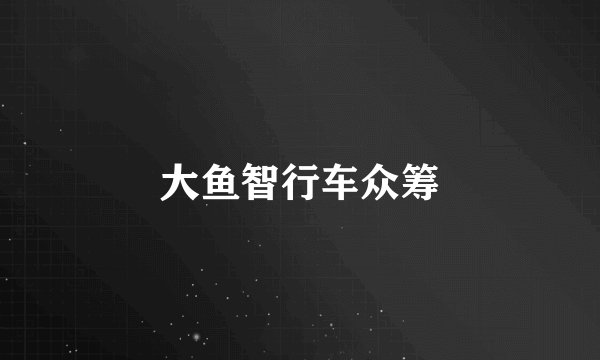 大鱼智行车众筹