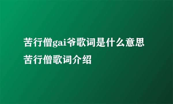 苦行僧gai爷歌词是什么意思 苦行僧歌词介绍