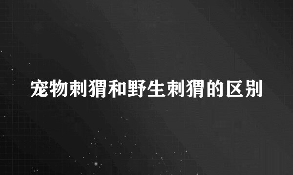 宠物刺猬和野生刺猬的区别