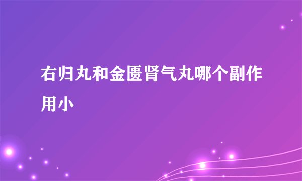 右归丸和金匮肾气丸哪个副作用小