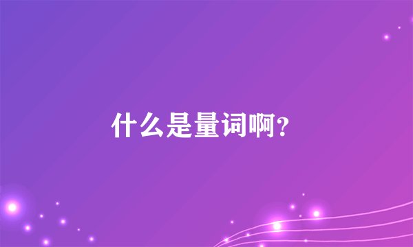 什么是量词啊？