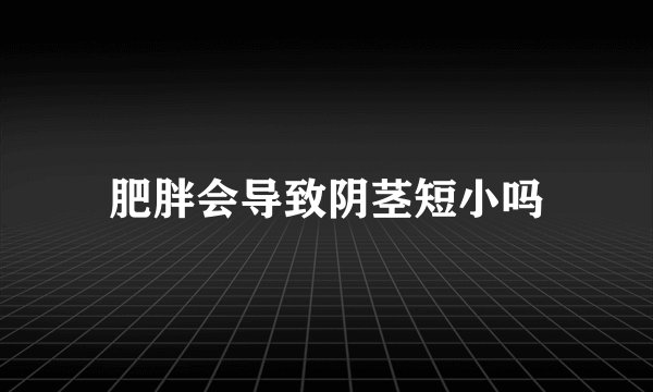 肥胖会导致阴茎短小吗