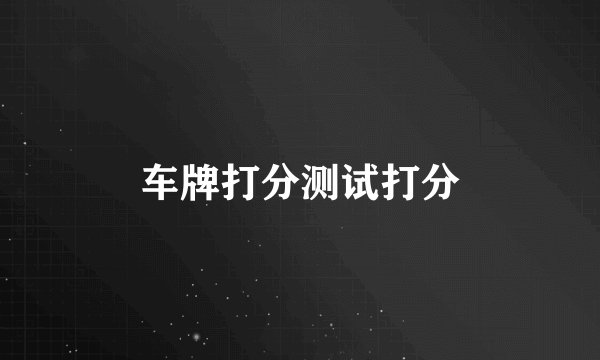 车牌打分测试打分