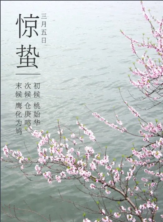 惊蛰怎么读音