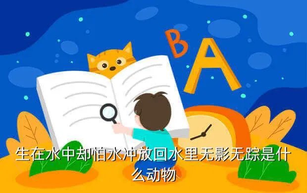 御龙在天马装砸星,为什么我下载好的御龙在天经典版无法安装下载完成后一共四个程