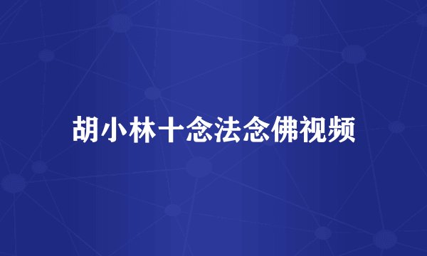 胡小林十念法念佛视频