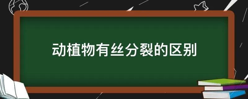 动植物有丝分裂的区别