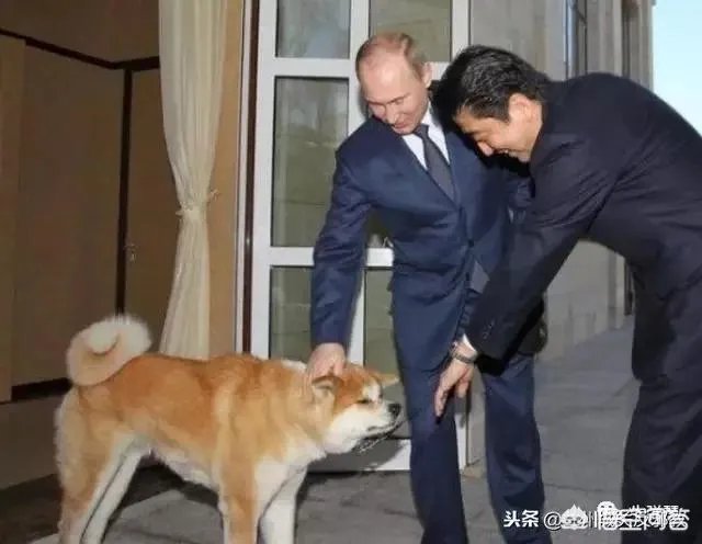 前往俄罗斯“要岛”,日首相安倍为什么会无功而返?