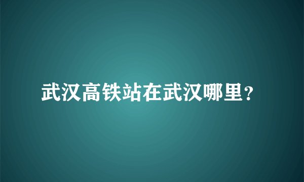 武汉高铁站在武汉哪里？
