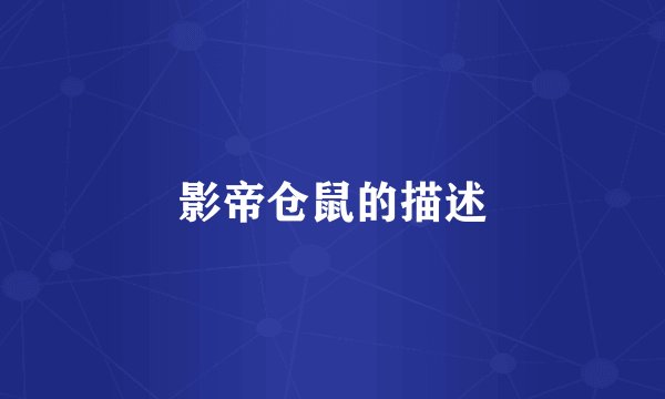 影帝仓鼠的描述