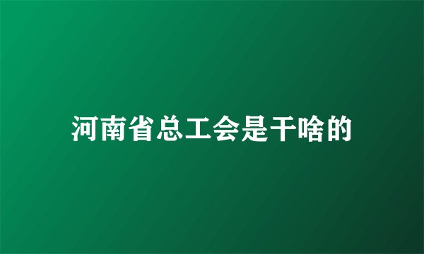 河南省总工会是干啥的