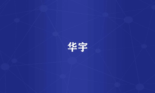 华宇