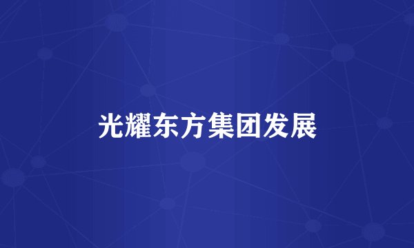 光耀东方集团发展