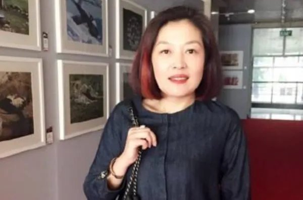 哈文背景强大