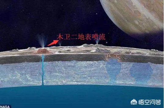 木卫二有海洋吗?有人说木卫二的海洋中存在类似海豚的生命,对吗?