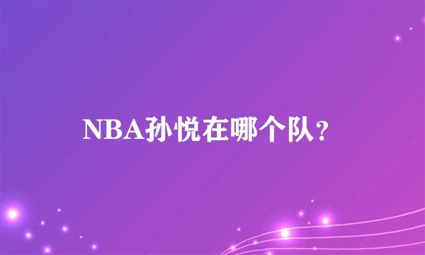 NBA孙悦在哪个队？