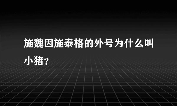 施魏因施泰格的外号为什么叫小猪？