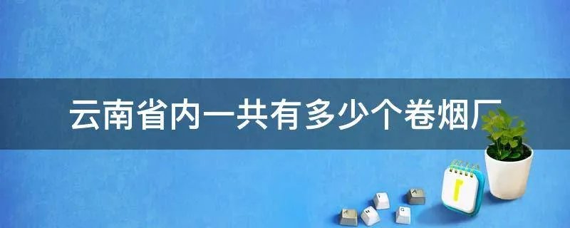 云南省内一共有多少个卷烟厂