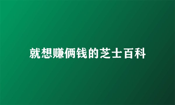 就想赚俩钱的芝士百科