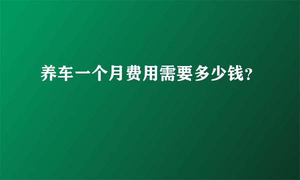 养车一个月费用需要多少钱？