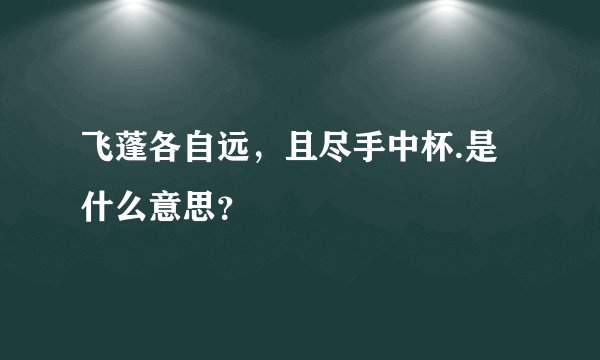 飞蓬各自远，且尽手中杯.是什么意思？