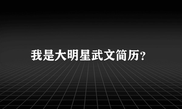 我是大明星武文简历?
