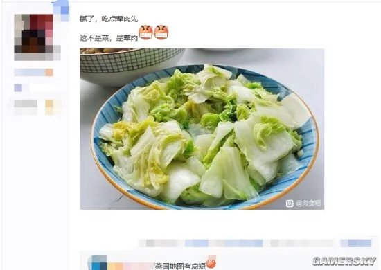 一天要吃多少肉,才能在“素食吧”里生存?