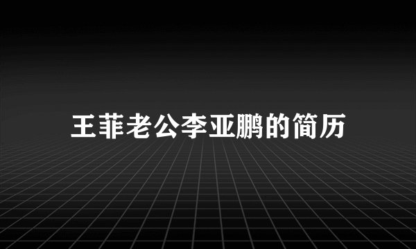 王菲老公李亚鹏的简历