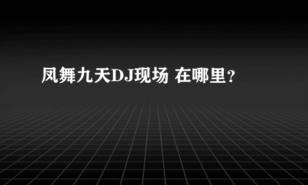 凤舞九天DJ现场 在哪里？