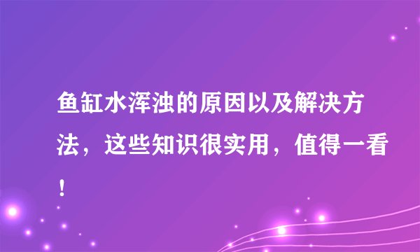 鱼缸水浑浊的原因以及解决方法，这些知识很实用，值得一看！