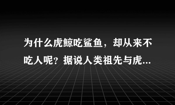 为什么虎鲸吃鲨鱼,却从来不吃人呢?据说人类祖先与虎鲸有个约定